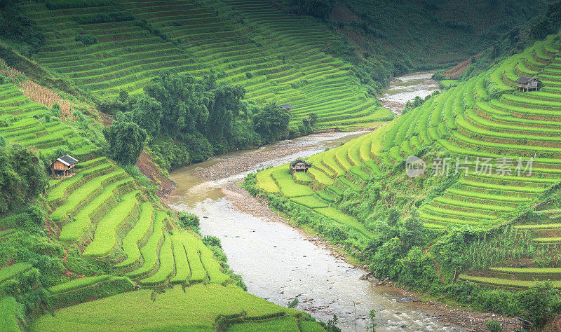 美丽的风景，绿色的稻田准备在越南西北部的梯田日落山在木仓寨，Yen Bai，越南